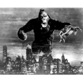 King Kong Photo